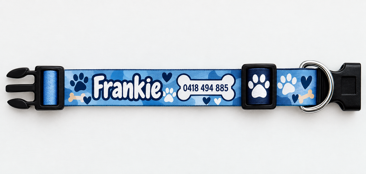 Adjustable Dog Collar