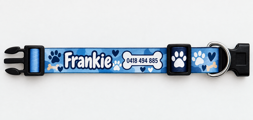 Adjustable Dog Collar