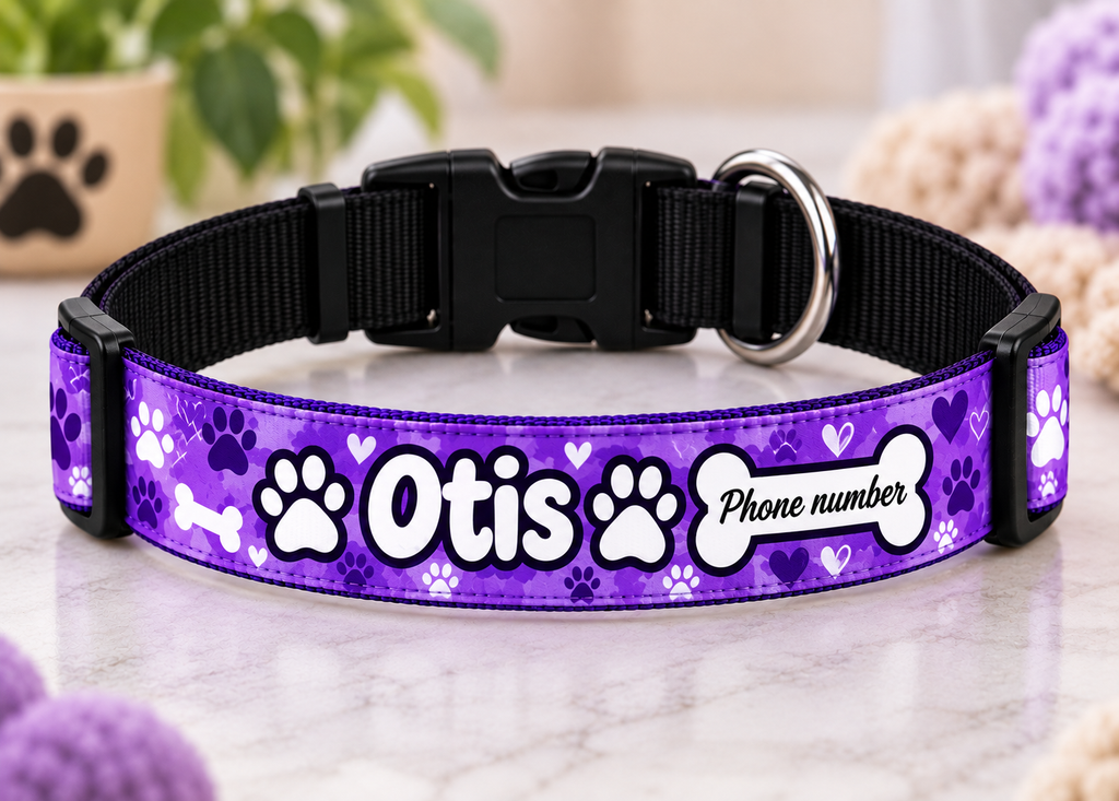 Adjustable Dog Collar