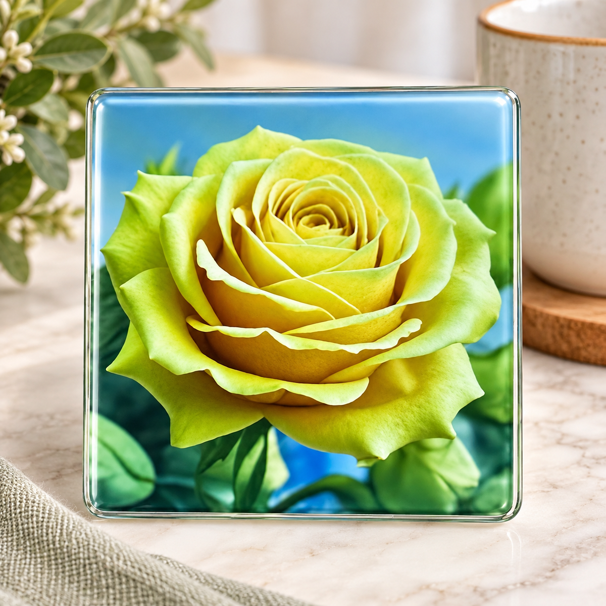Round and Square Glass Coasters (singular)