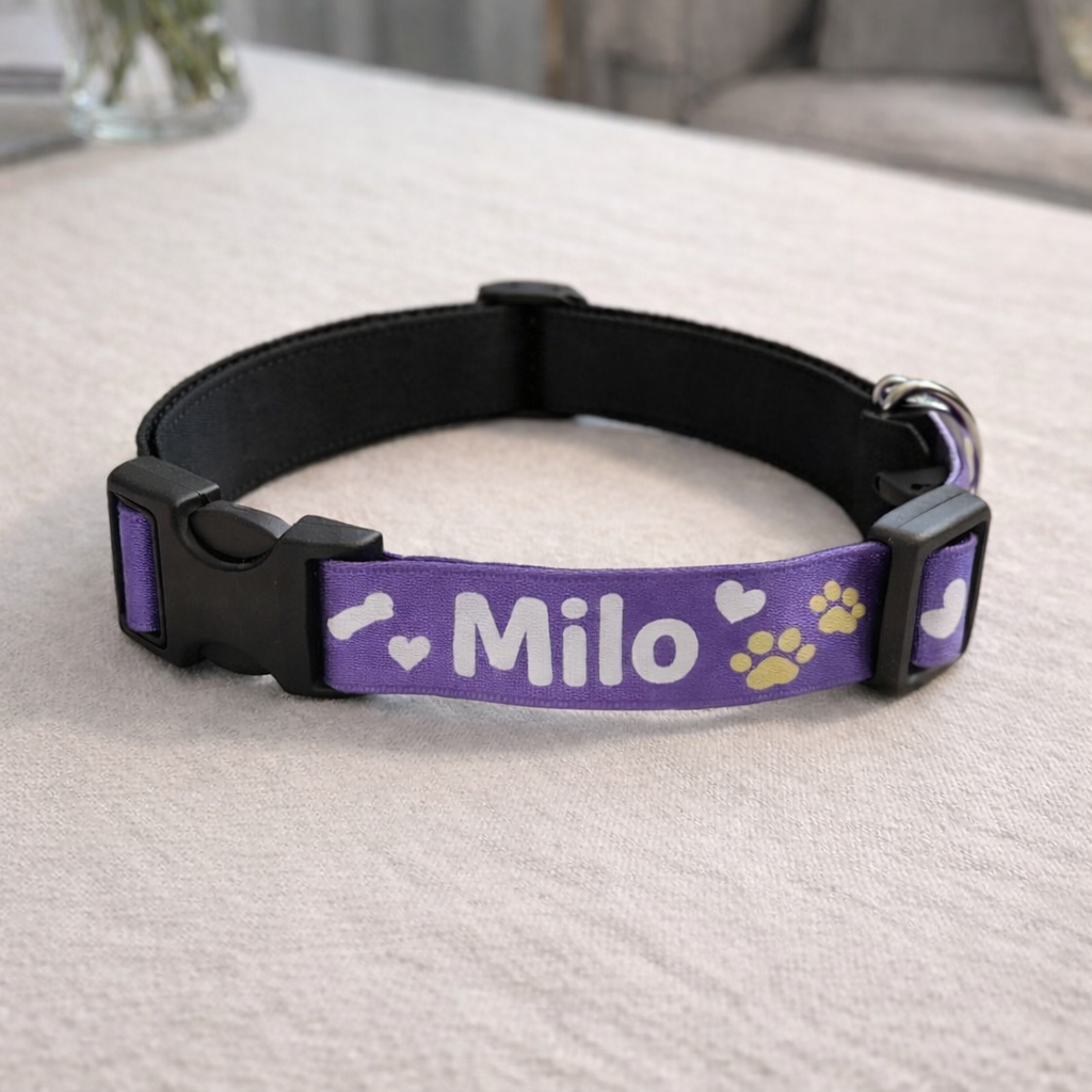 Adjustable Dog Collar