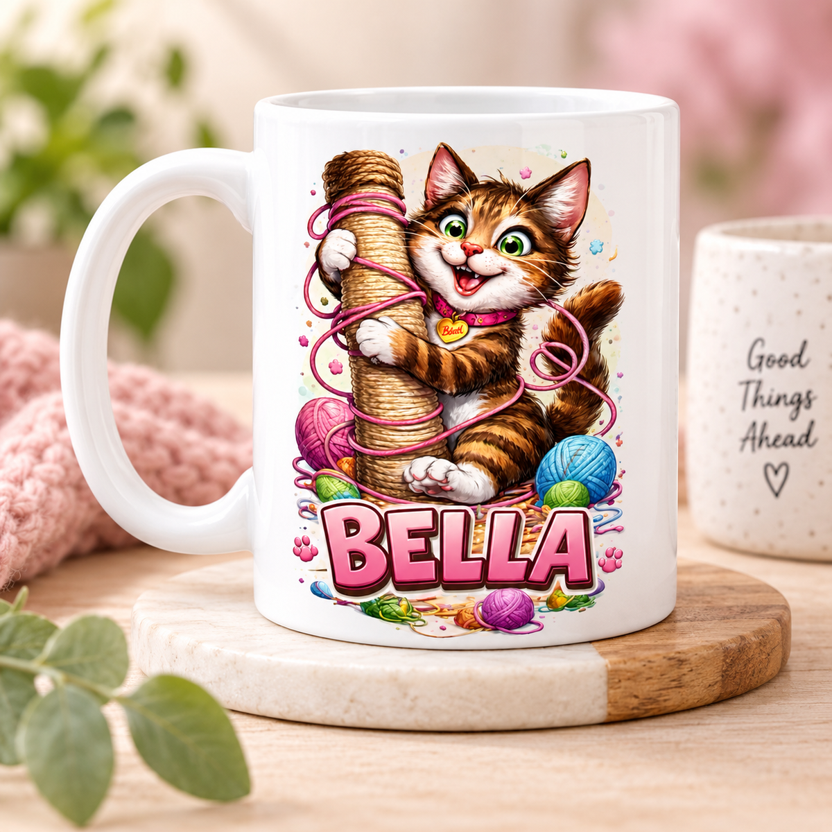 Mugs (Singular)