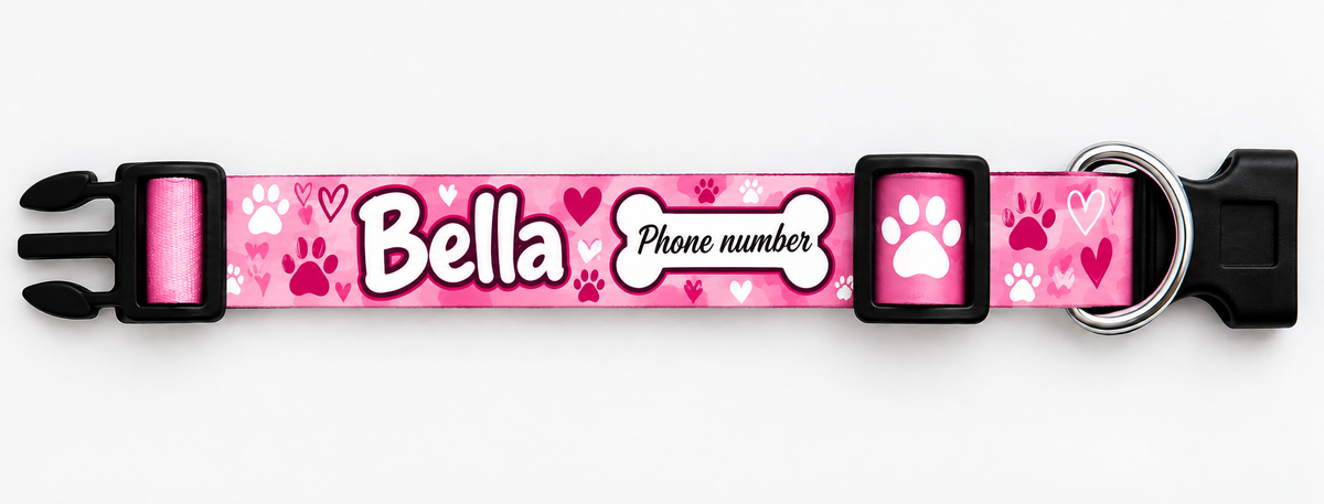 Adjustable Dog Collar