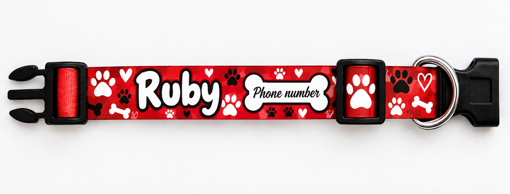 Adjustable Dog Collar