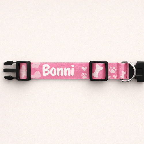 Adjustable Dog Collar