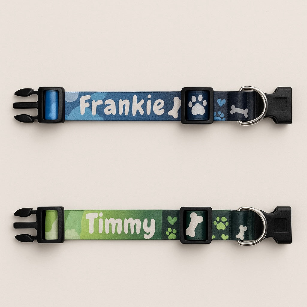 Adjustable Dog Collar