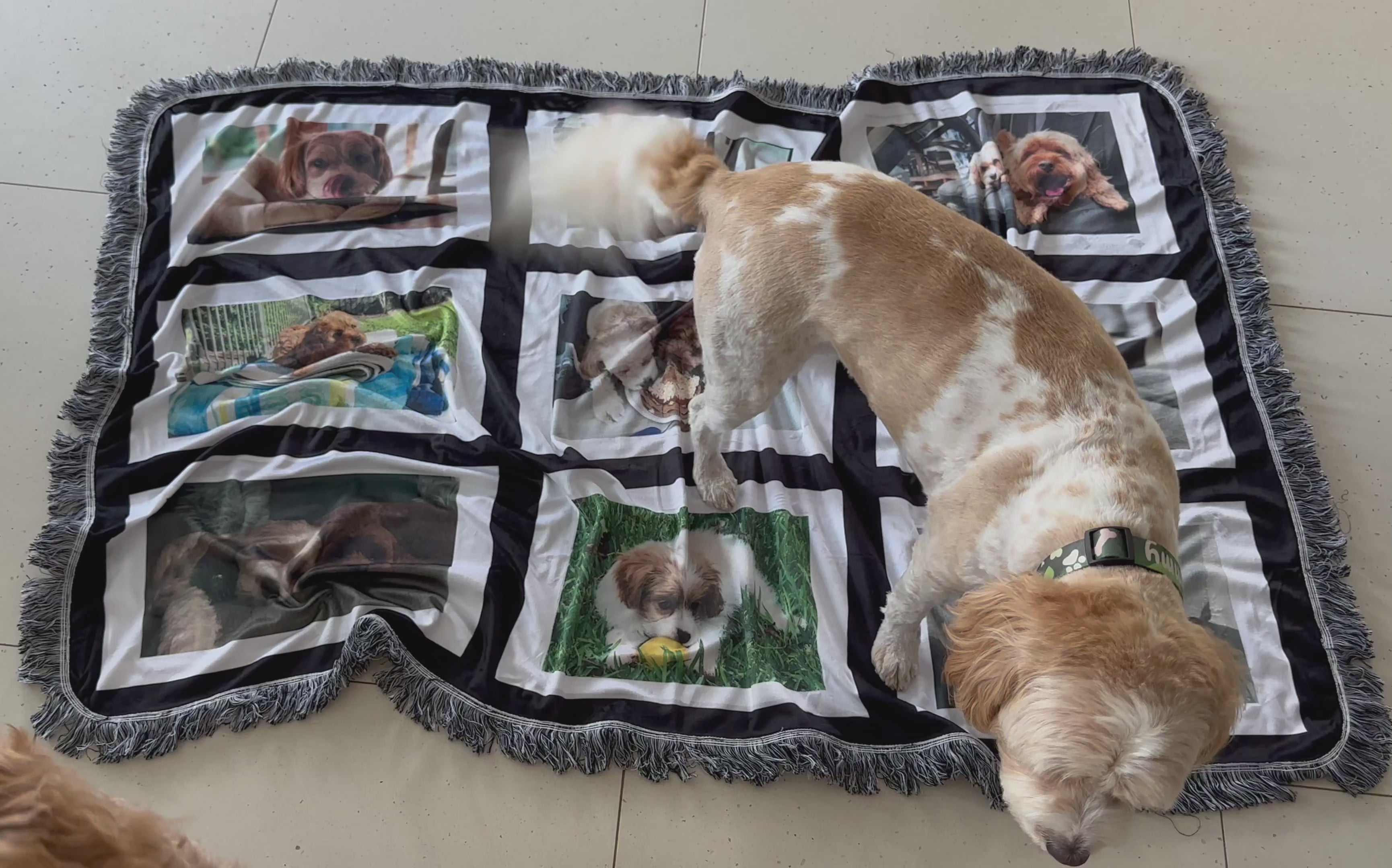 Pet Photo Throw